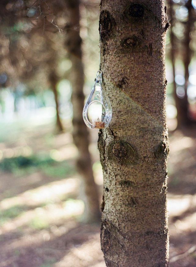 View More: http://justintearney.pass.us/sarah_eric